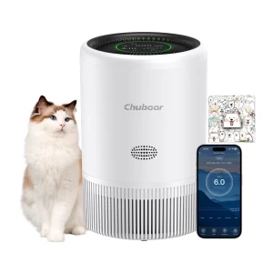 Smart Air Purifier