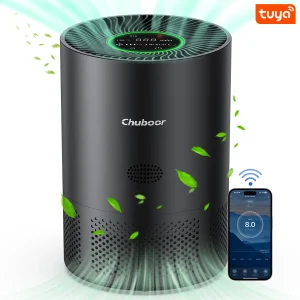 Air Purifiers for Home