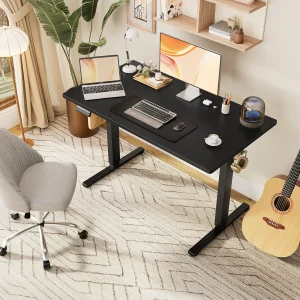 Ergonomic Electric Standing Desk